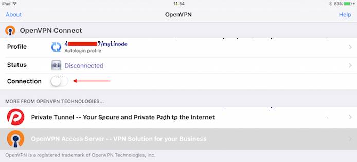 OpenVPN Connect connection status