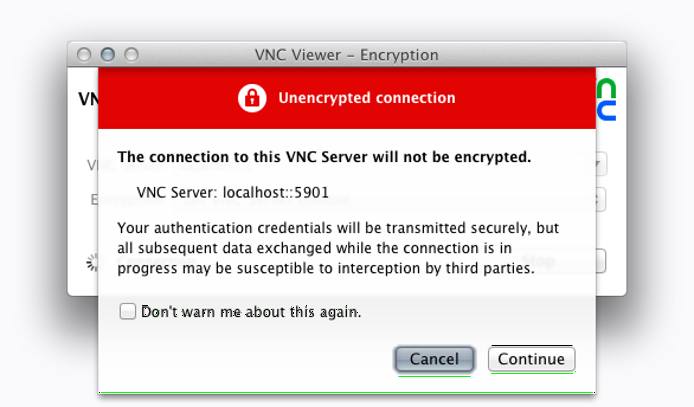 VNC Security Warning.