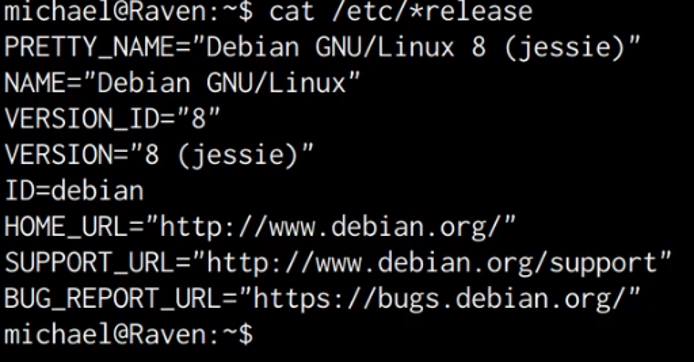 Raven VM /etc/*release contents