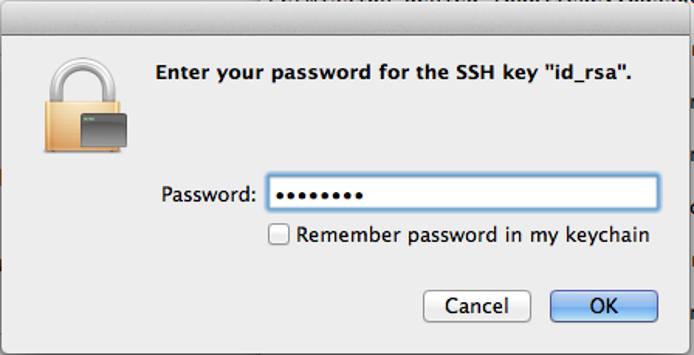 Enter your SSH passphrase in the password field.