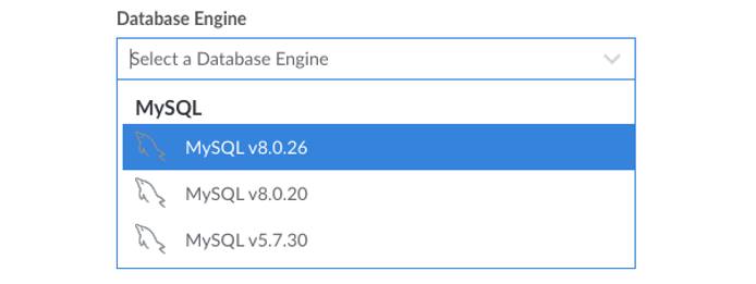 Screenshot of the Database Engine dropdown menu Screenshot of the Database Engine dropdown menu